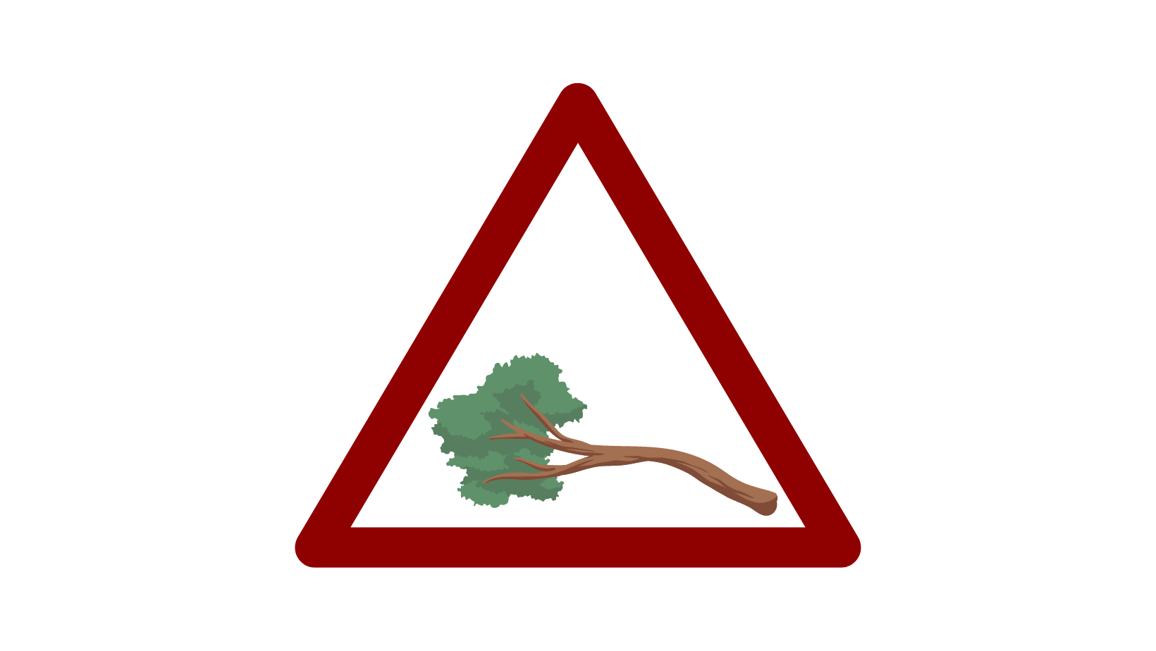 Tree Down on Glen Road Ballygarvan