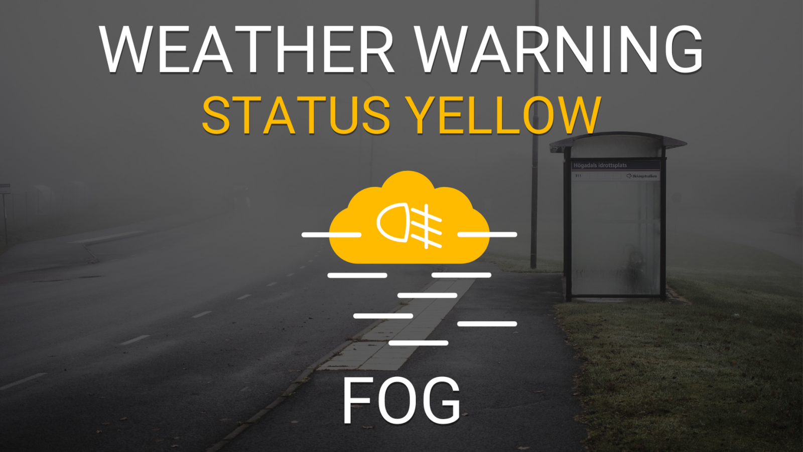 Yellow Fog Warning Issued for Cork and 19 Other Counties