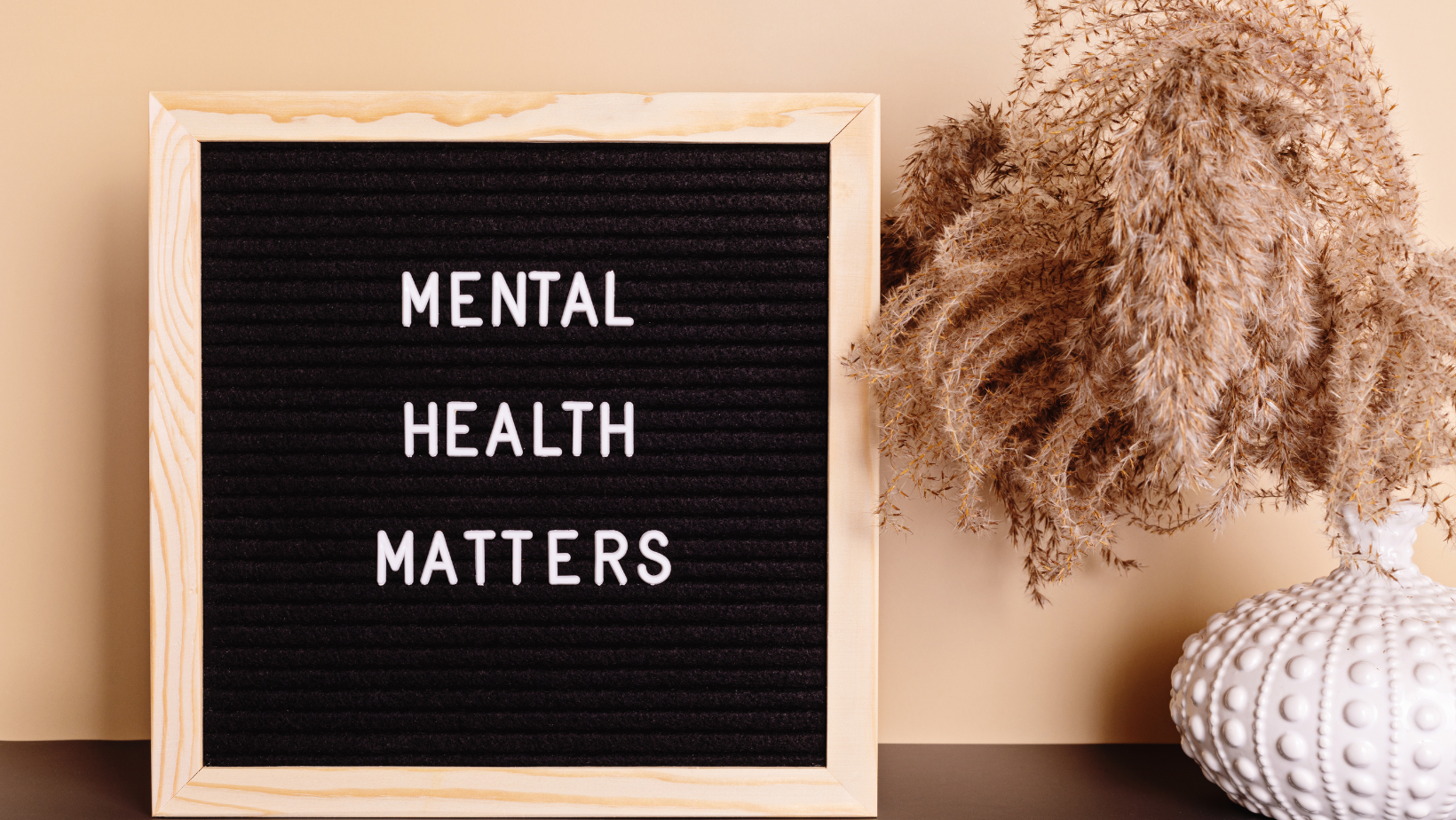 Government Submits 241 Amendments to Mental Health Bill 2024