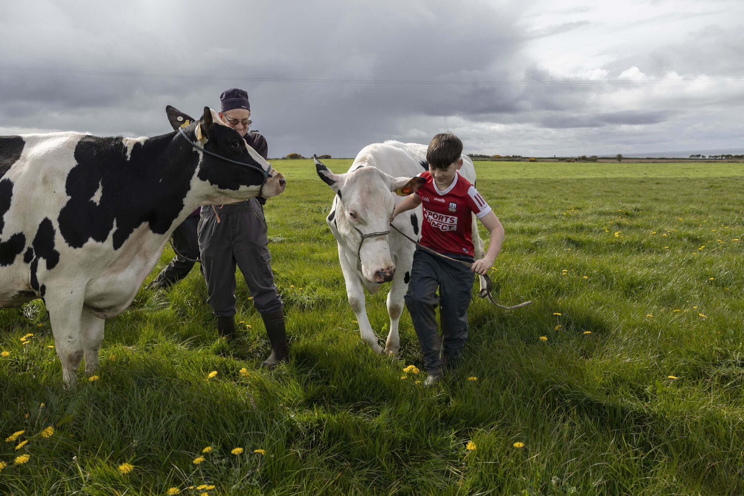 Cork Summer Show Returns This June with Music, Food and Family Fun