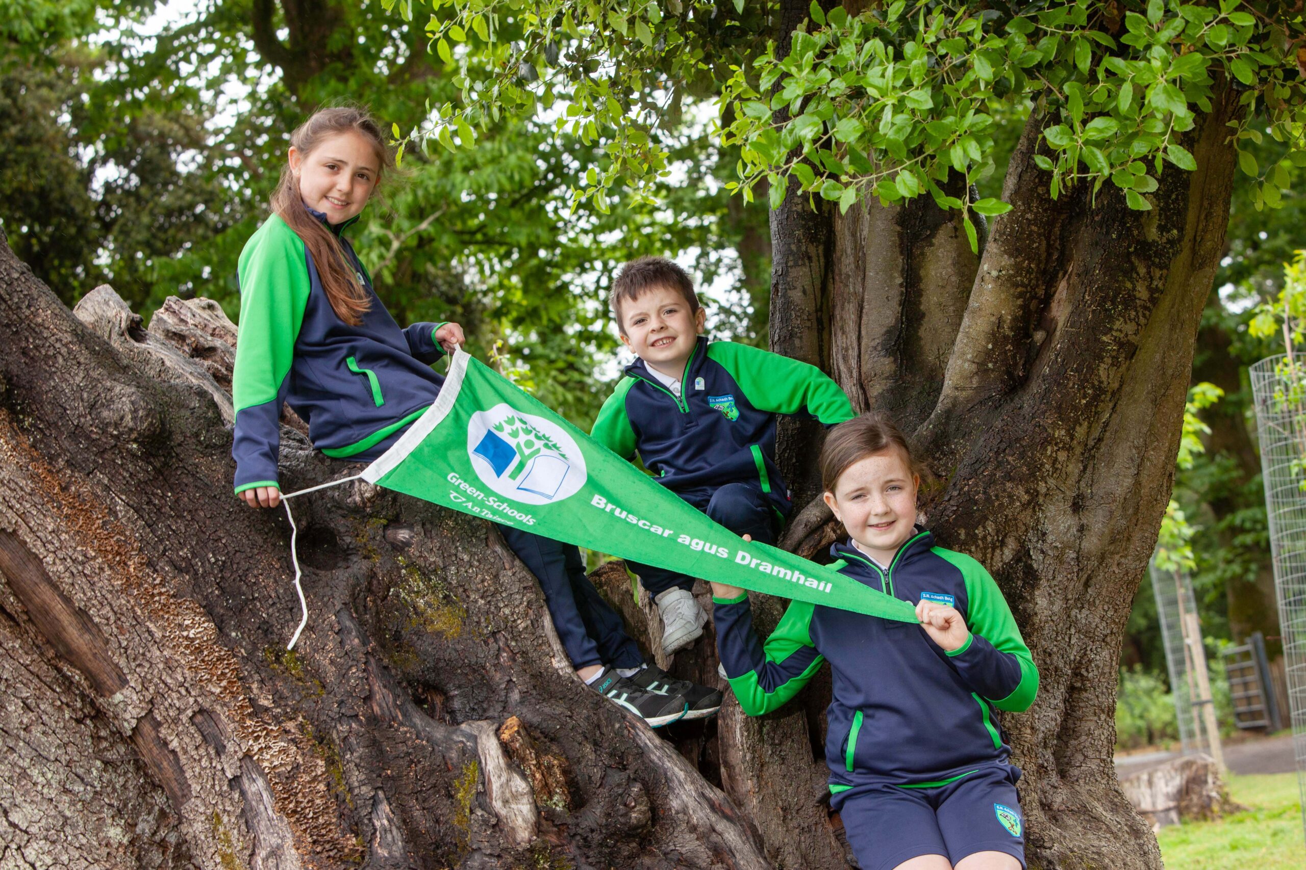 68 Cork County Schools Receive Green Flag Awards for Environmental Excellence