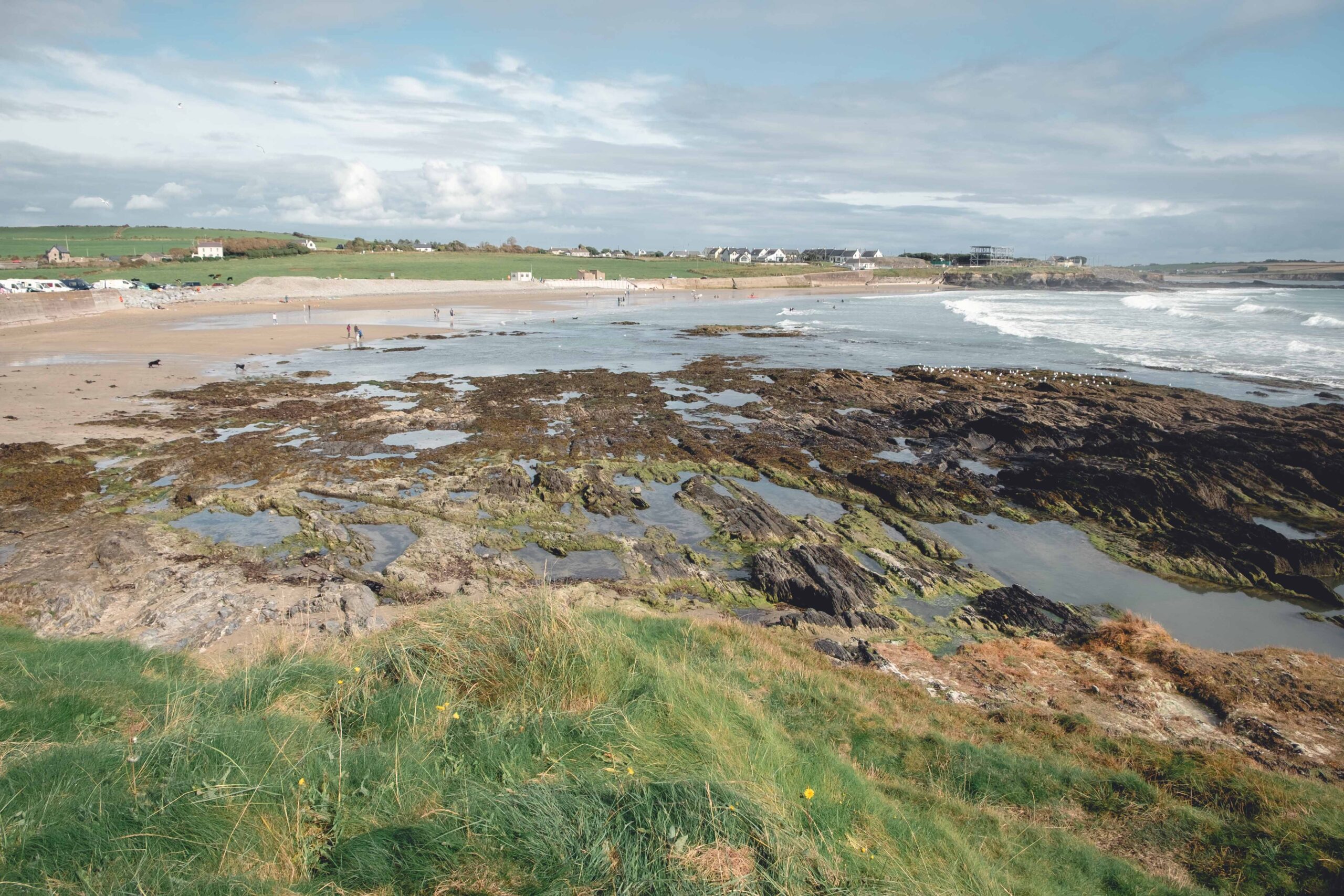 Cork's Blue Flag Beaches Get Protection Boost from 'Think Before You Flush' Campaign