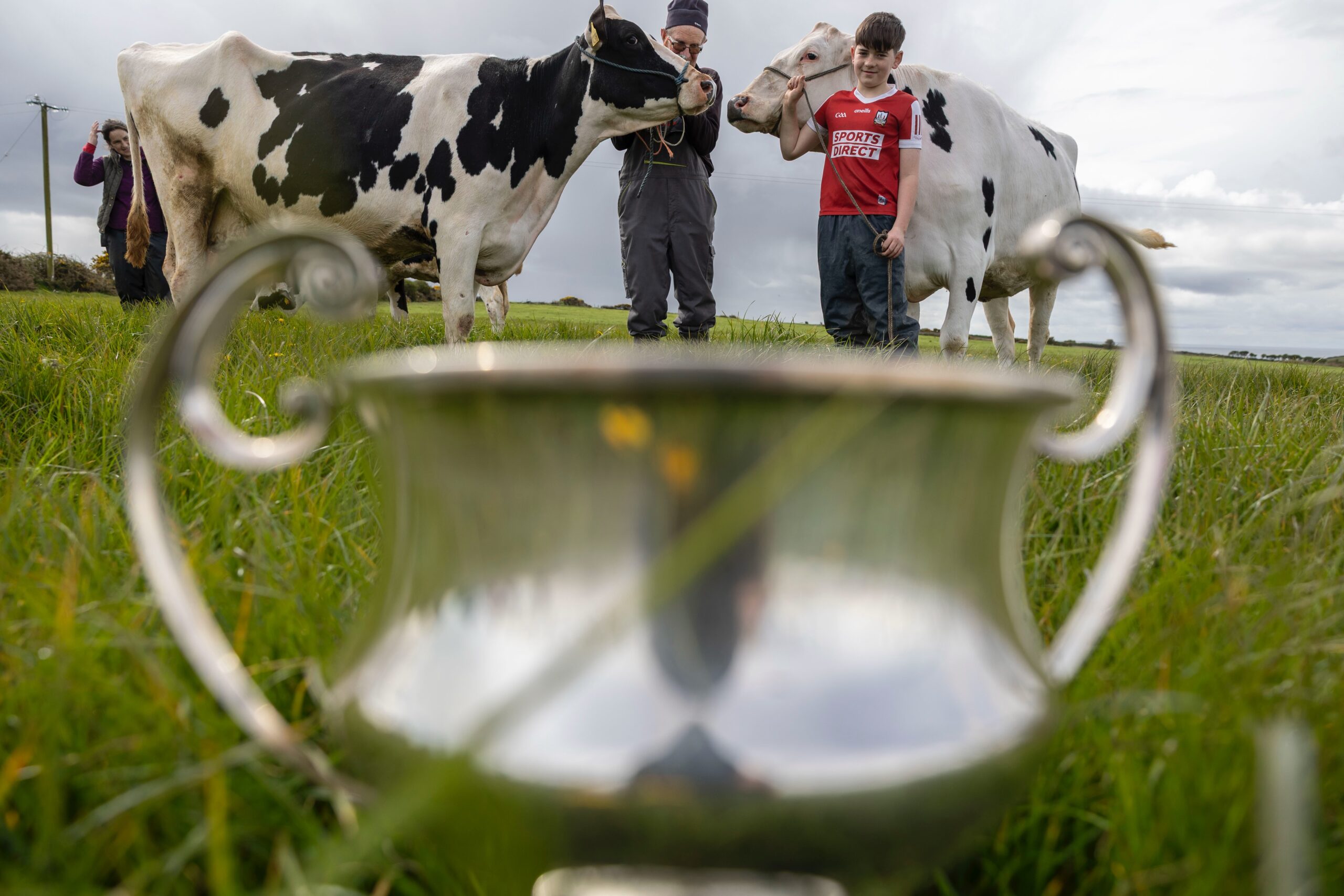 Cork Summer Show Returns This Father's Day Weekend with 200+ Events and Free Transport