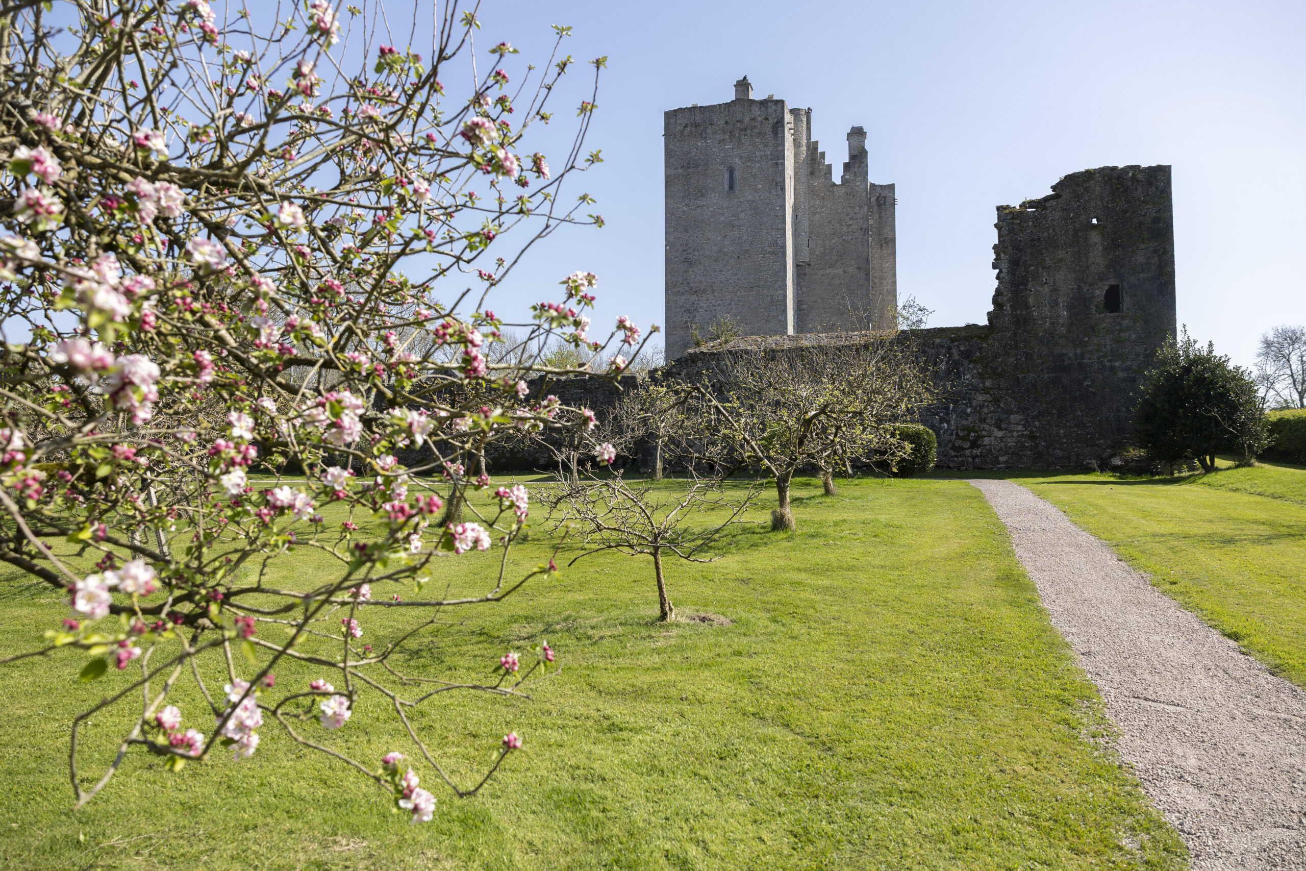 Summer Adventures Await at Ireland's Heritage Sites, Including Cork's Own Barryscourt Castle