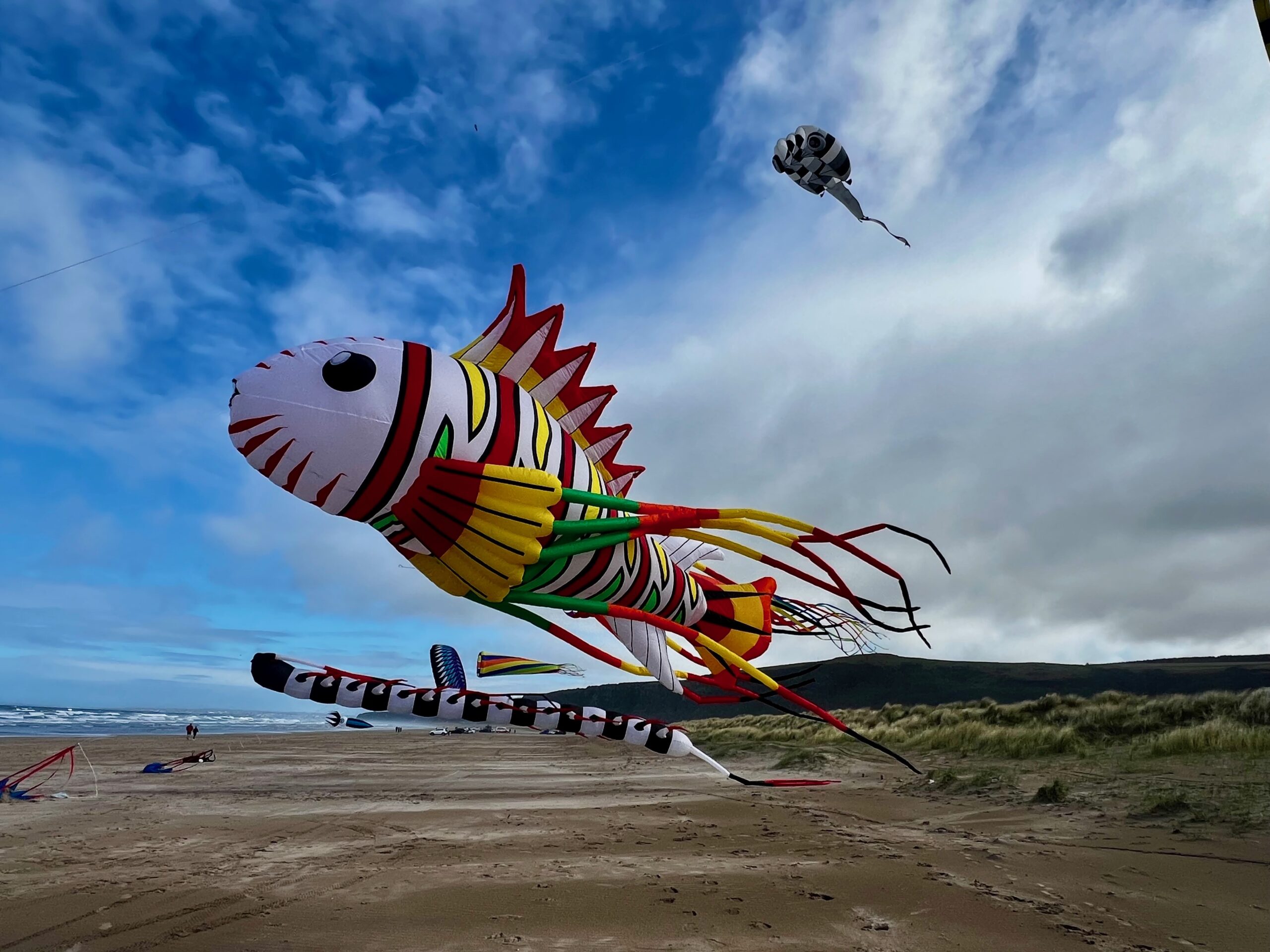 Kinsale Arts Weekend 2025 Promises to Ride 'The Ninth Wave' This July