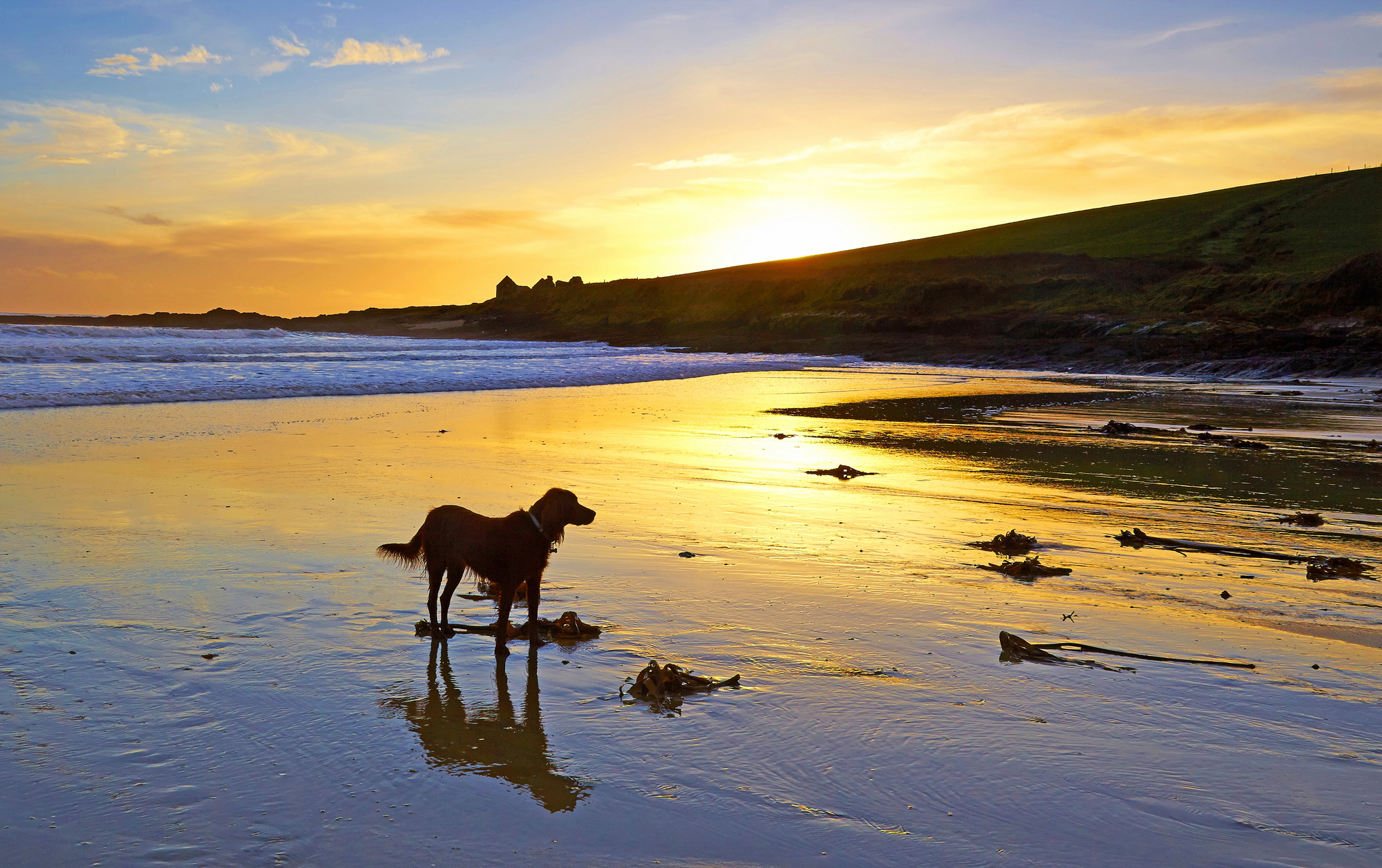 Cork Set for Scorching Weekend as Temperatures Could Hit 31°C
