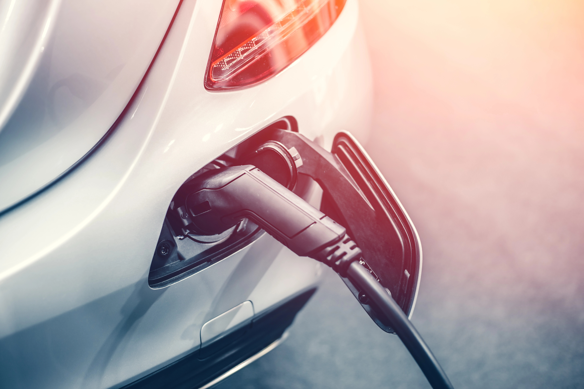 Cork Electric Vehicle Sales Surge 30% as Infrastructure Investment Calls Intensify