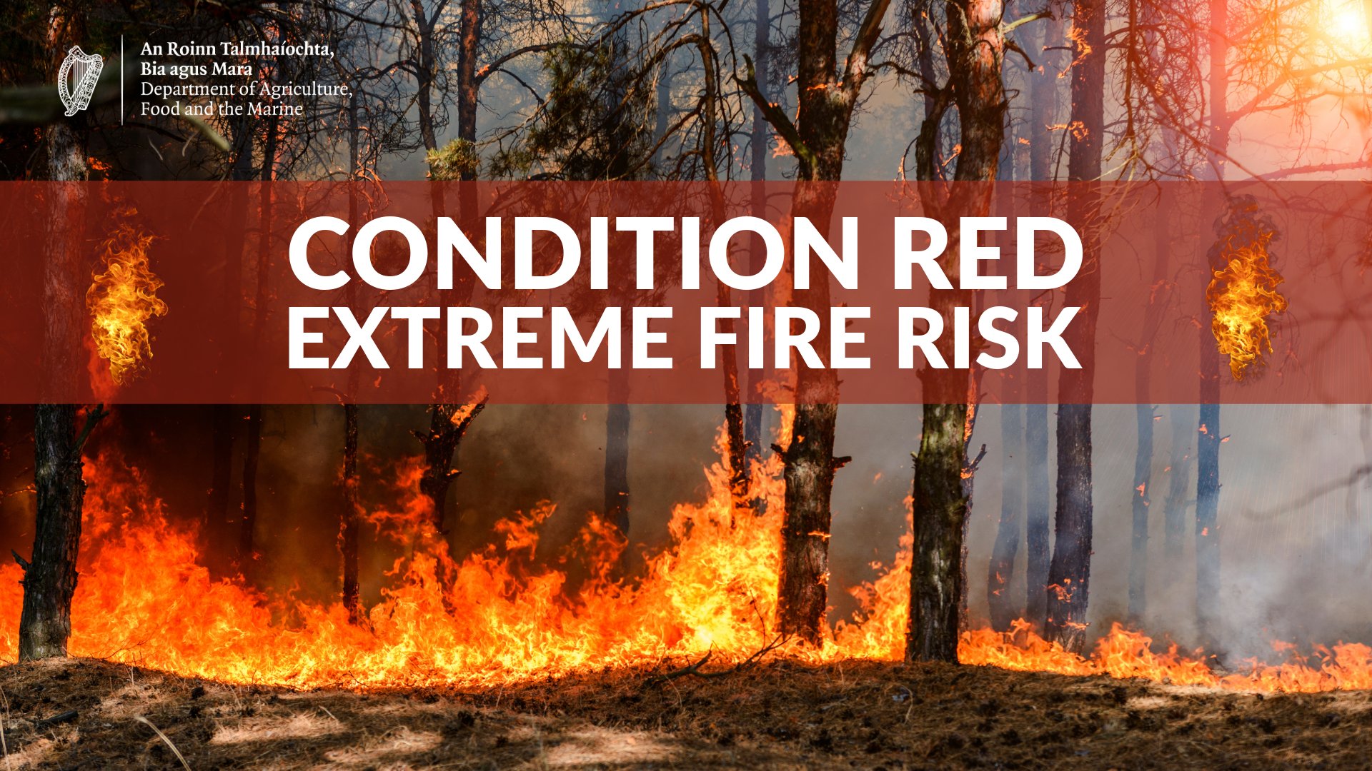 Rare Condition Red Fire Warning Issued as Hot Weekend Threatens Irish Countryside