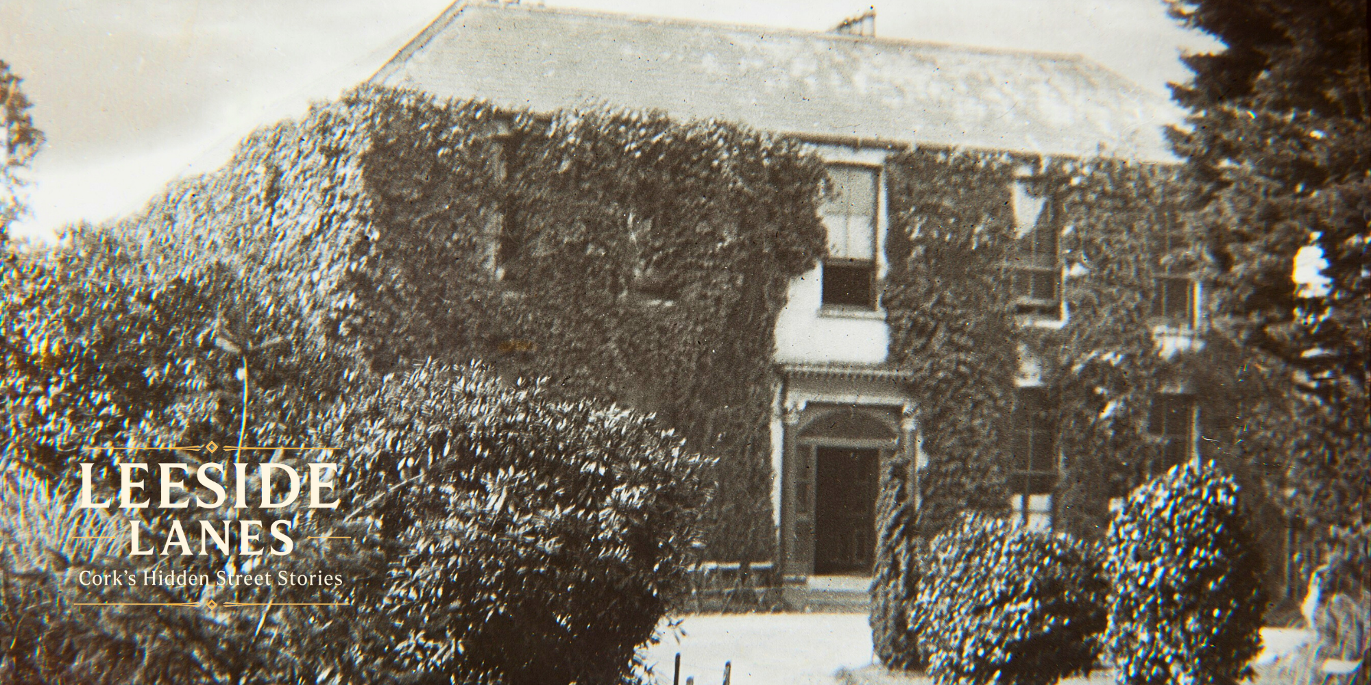Historic Trinity: How Mardyke Walk, Fitzgeralds Park and the Shakey Bridge Became Cork's Beloved Riverside Heart