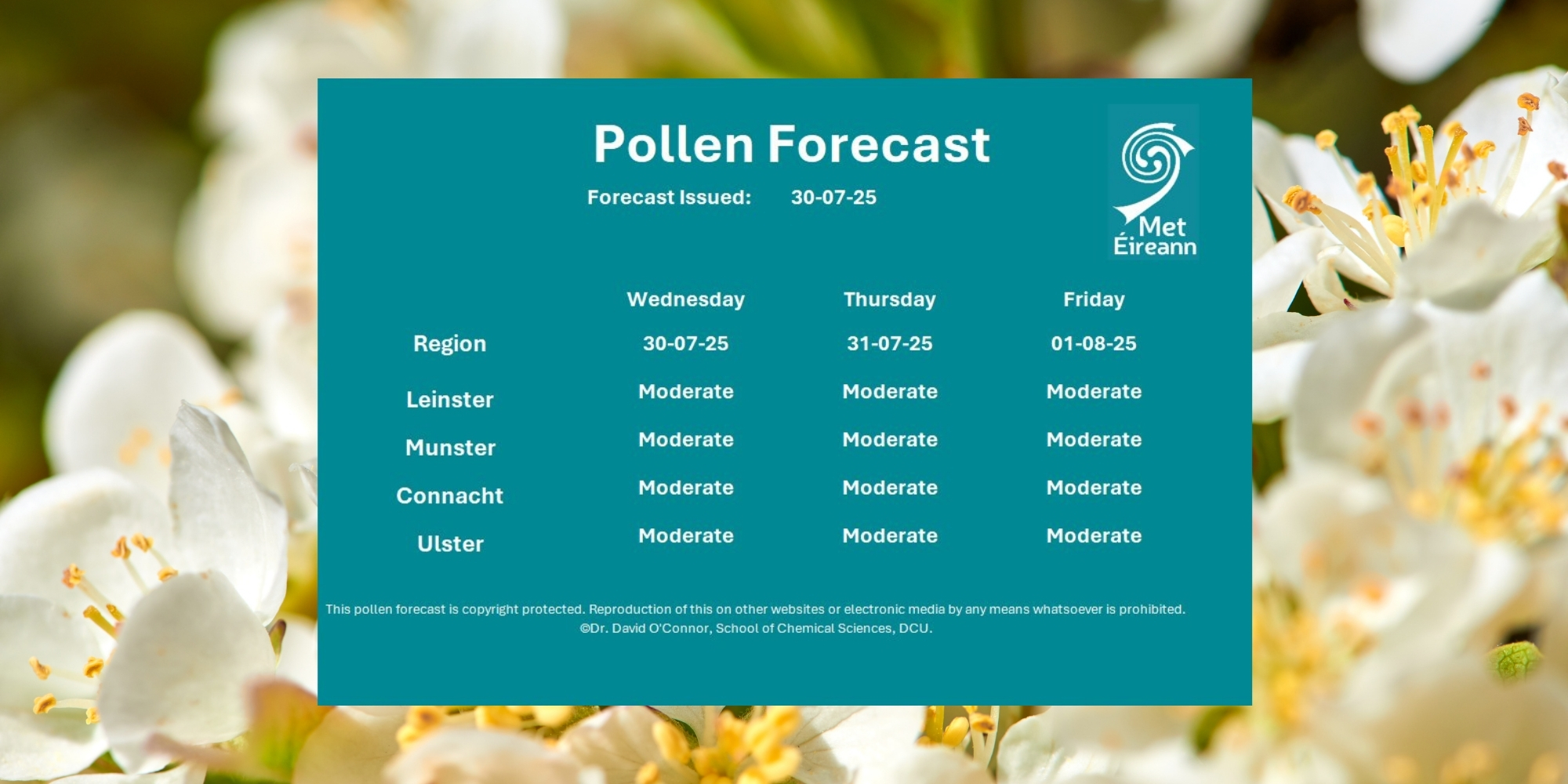 Moderate Pollen Levels Expected Across Cork This Week