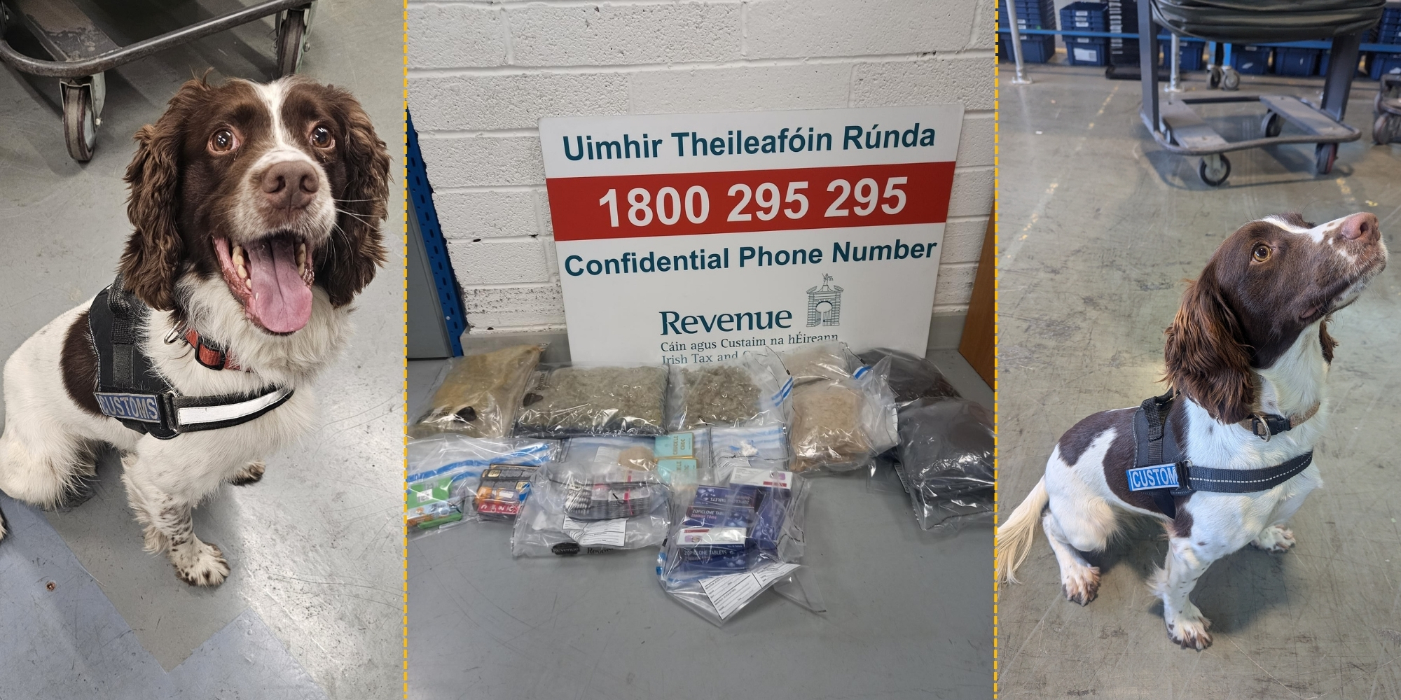 Revenue Seizes €425,000 Worth of Drugs, Counterfeit Goods and Weapons in Major Week-Long Operation