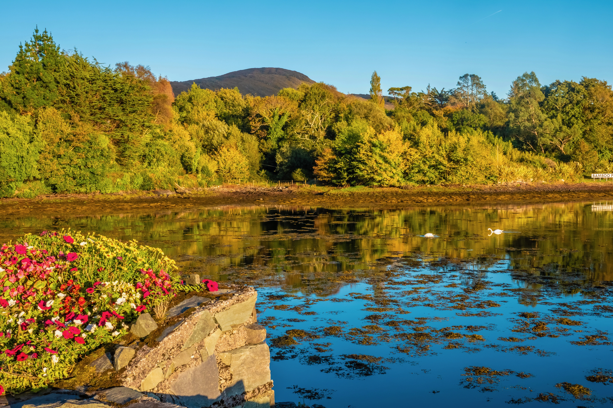 Five Scenic Sunday Drives Around Cork Perfect for Escaping the Crowds