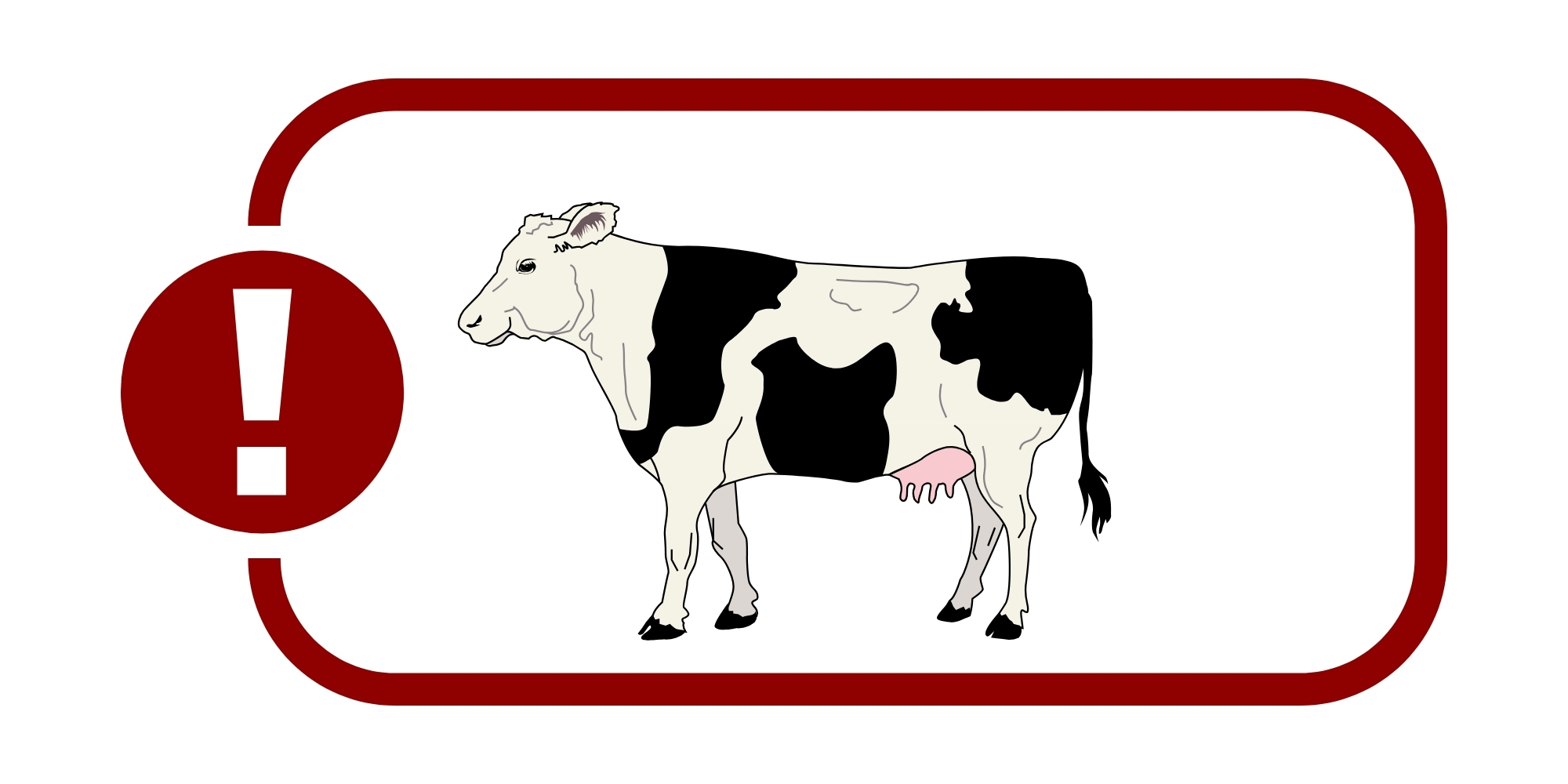 Cows 🐄 on N20 at Rathduff